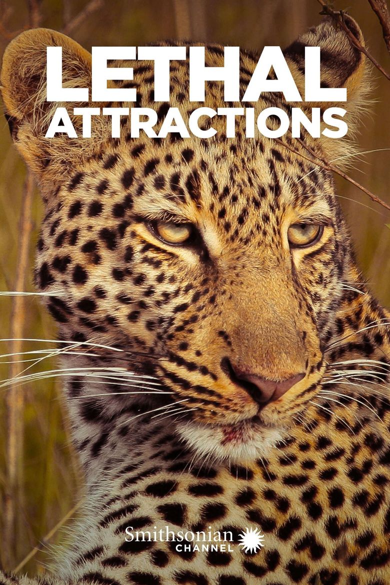 Lethal Attractions Movie Poster
