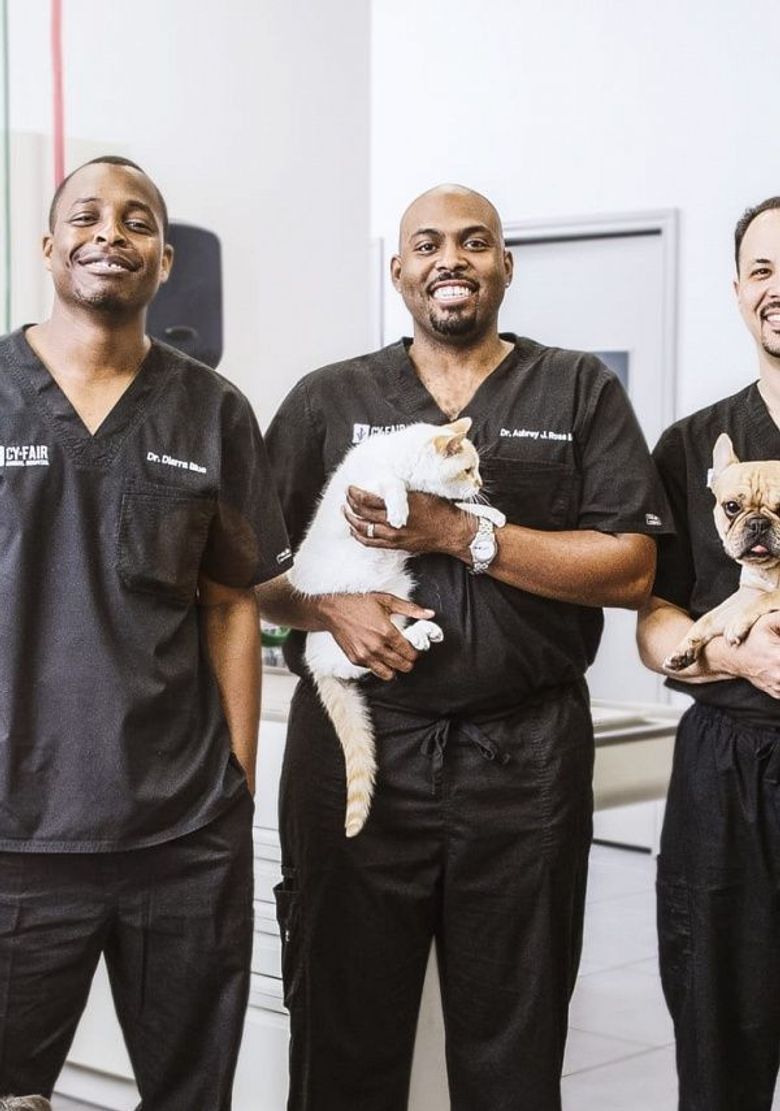 The Vet Life: Extreme Animal Encounters Show Poster