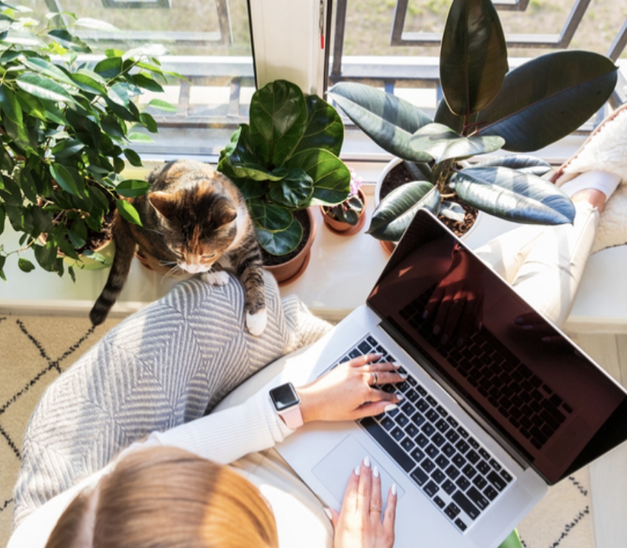 Aerial view of a woman typing on her laptop with her cat and several plants sitting on her desk.