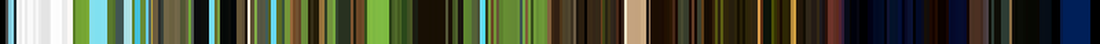 masha colors