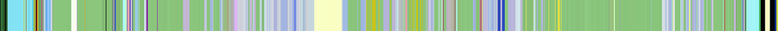 Mickey Colors