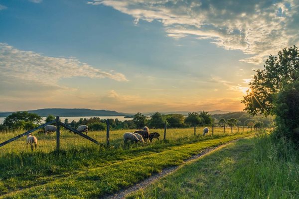 5 Essential Tips for Moving to the Country
