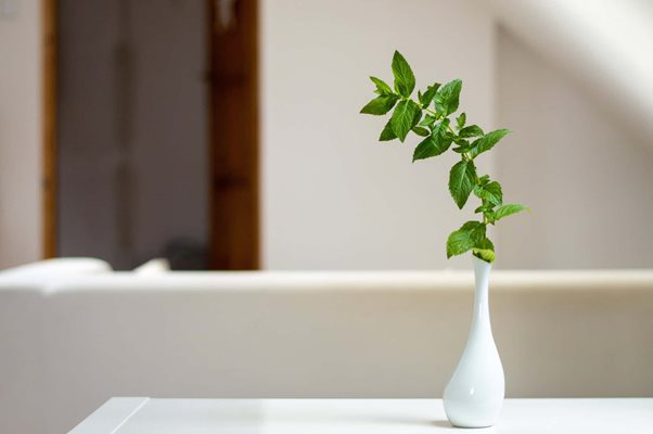 Practical Decor: Tips for Repurposing Furniture for a Smaller Space