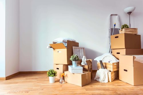 Moving boxes and plants stacked in an empty corner