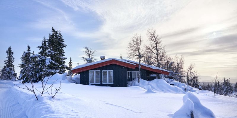 Moving to a winter wonderland